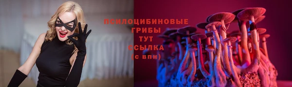 тгк Алексеевка
