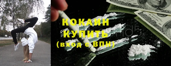 гашик Алзамай