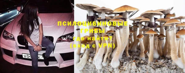 тгк Алексеевка