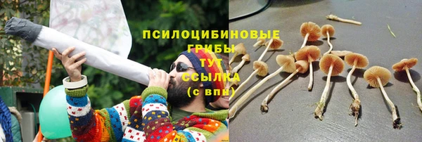 тгк Алексеевка