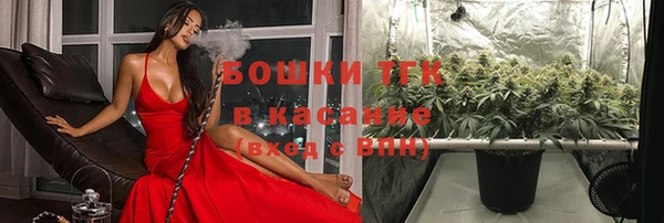 тгк Алексеевка