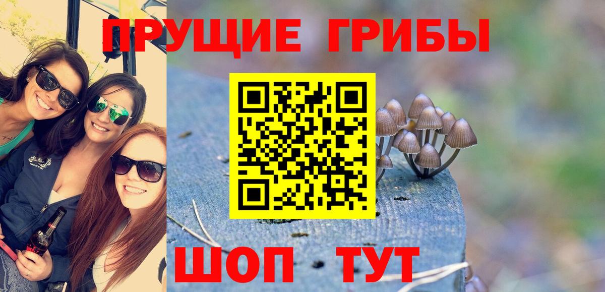 Псилоцибиновые грибы мицелий Сибай