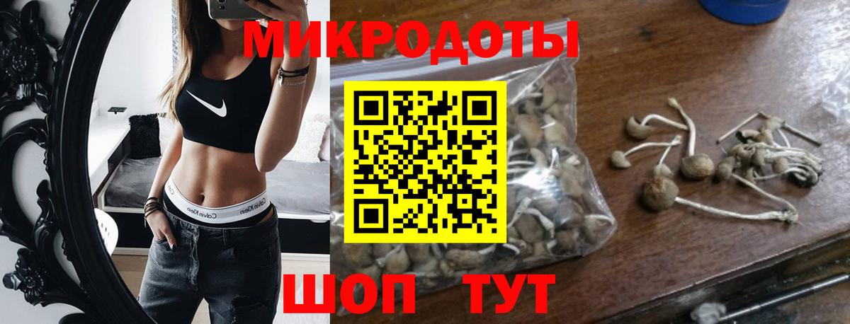 Псилоцибиновые грибы MAGIC MUSHROOMS  Вход с VPN  Псилоцибиновые грибы GOLDEN TEACHER  Сибай 